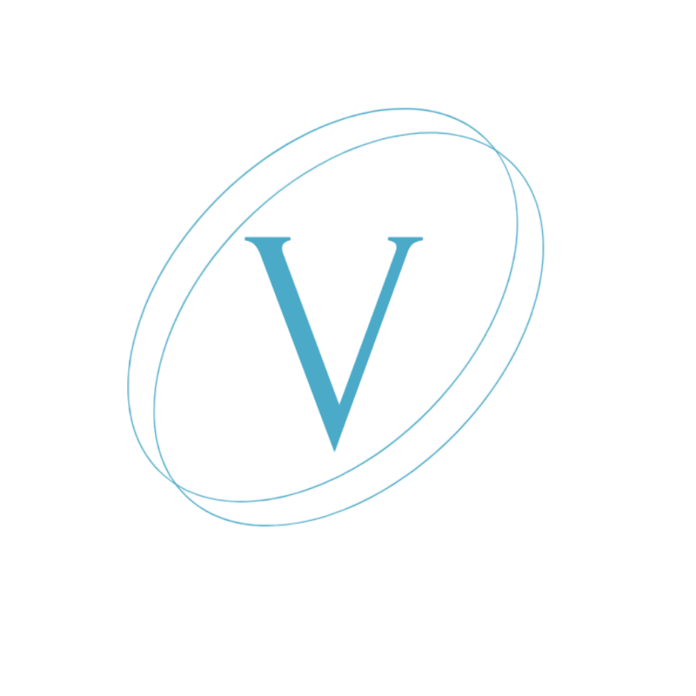 Logo Vera Özkaya Webdesign blau ohne Hintergrund